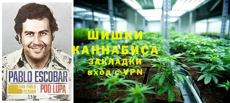 Шишки марихуана White Widow  Агидель 